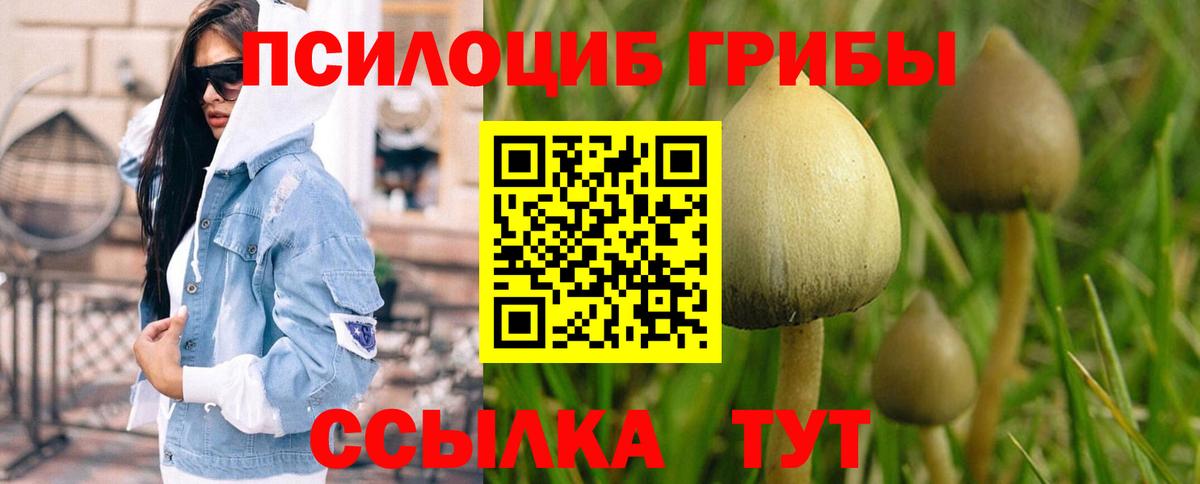 Псилоцибиновые грибы Cubensis  Вход с VPN  Галлюциногенные грибы ЛСД  Нарткала 